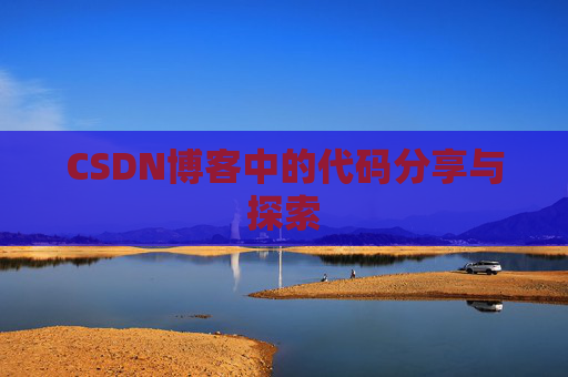 CSDN博客中的代码分享与探索